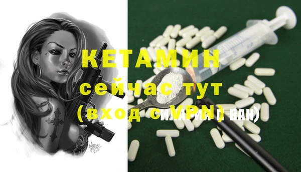 стаф Каменск-Шахтинский