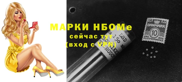 стаф Каменск-Шахтинский