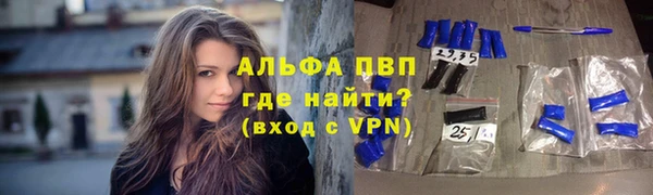 стаф Каменск-Шахтинский