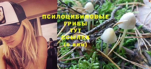 гашишное масло Каменногорск