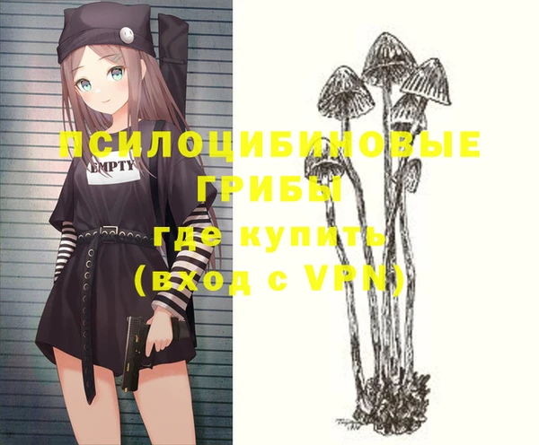 герыч Каменка