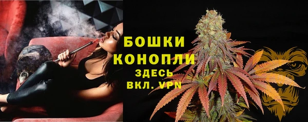 стаф Каменск-Шахтинский