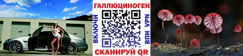 площадка телеграм  Артём  Галлюциногенные грибы GOLDEN TEACHER 
